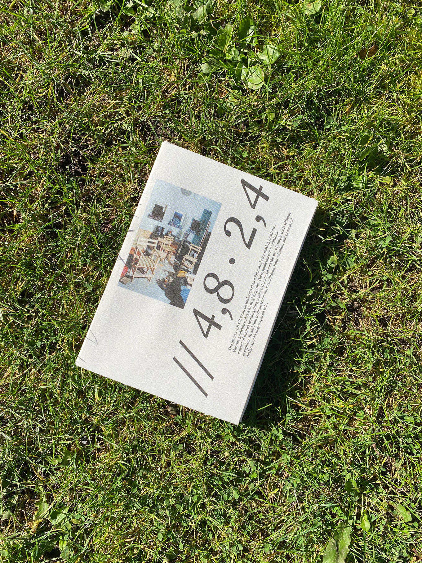 Public Intervention: Blitz im Park / 4.8 x 2.4