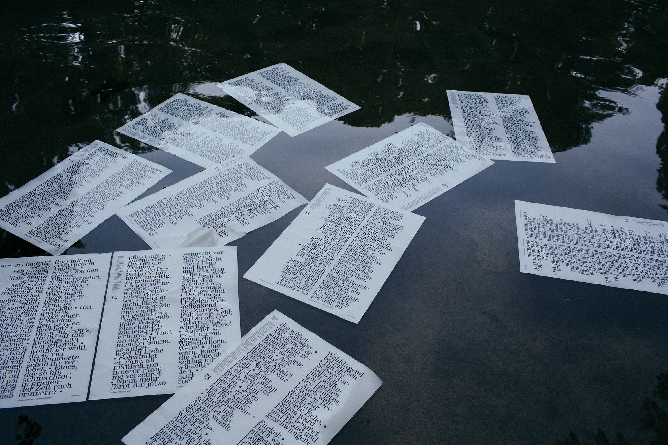 Typographic Installation: Ovid’s Narcissus