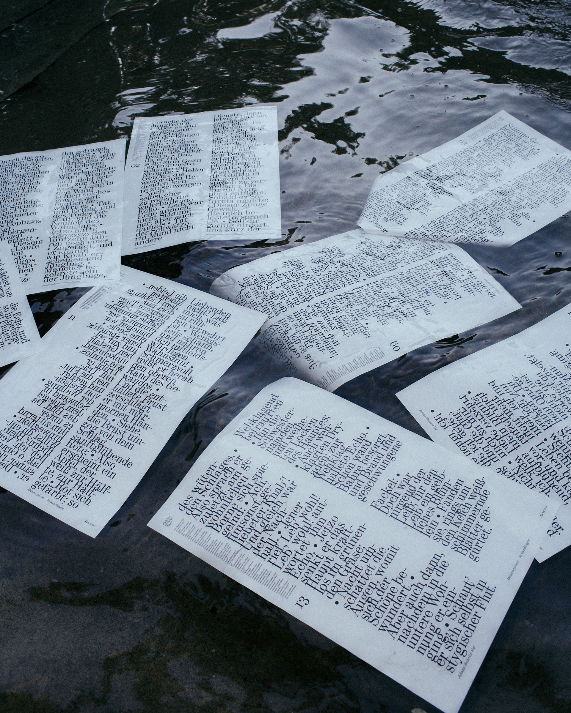 Typographic Installation: Ovid’s Narcissus