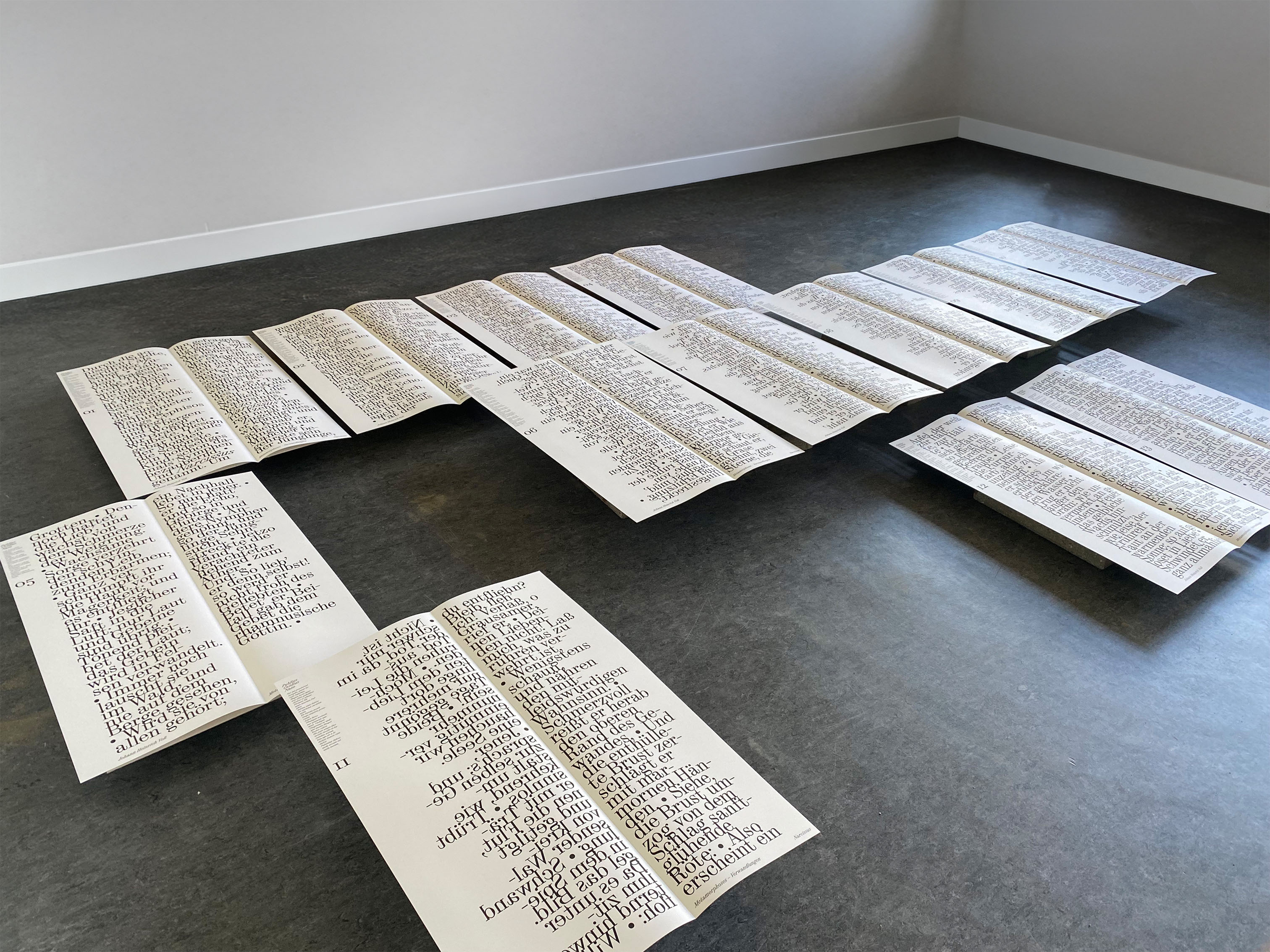 Typographic Installation: Ovid’s Narcissus