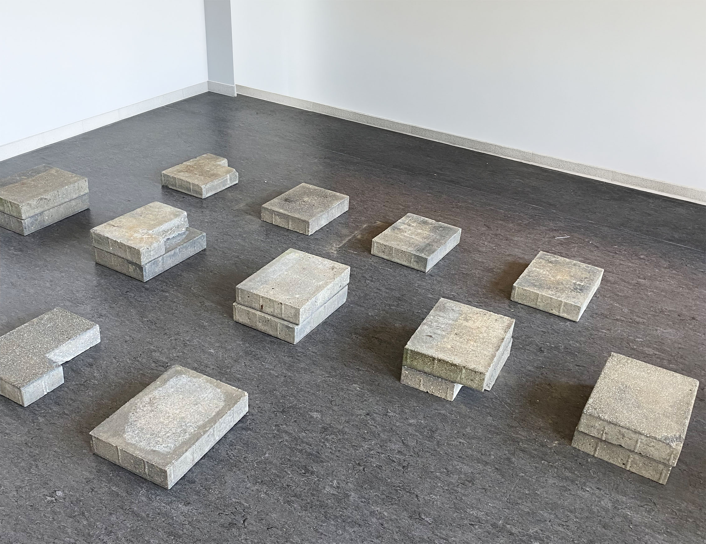 Typographic Installation: Ovid’s Narcissus