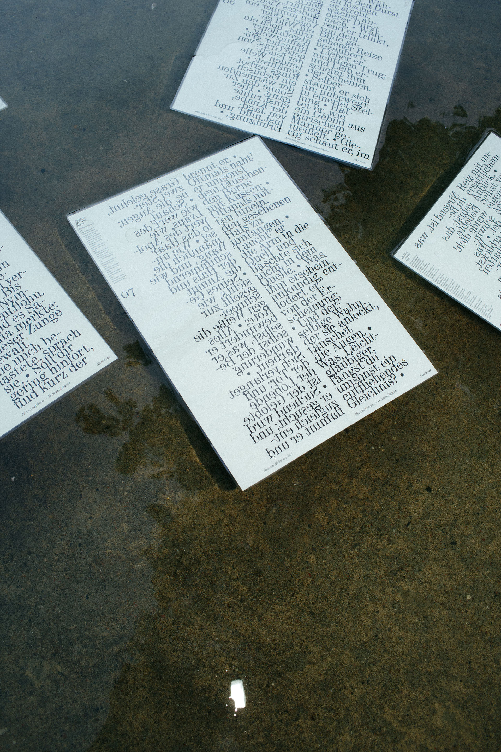 Typographic Installation: Ovid’s Narcissus