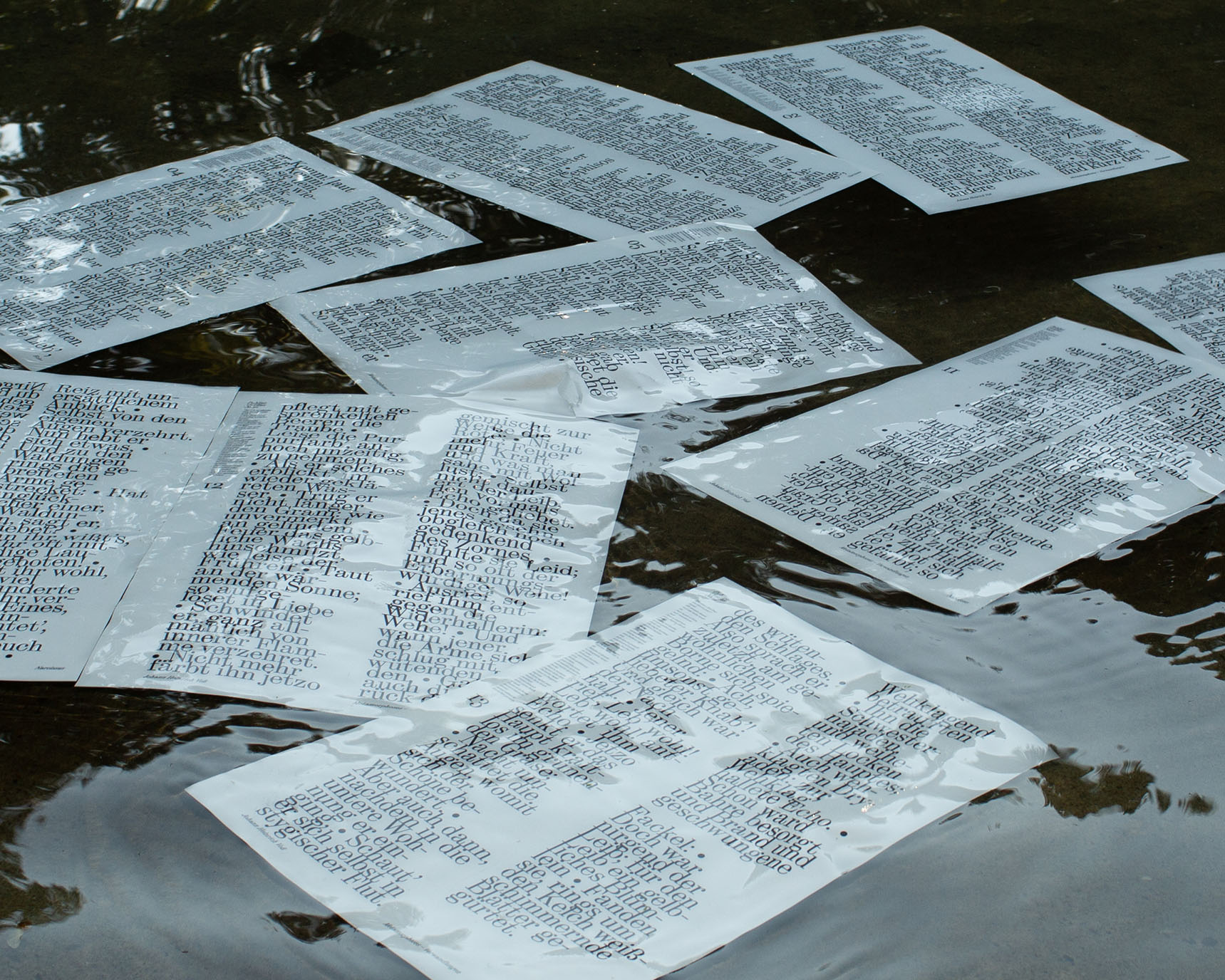 Typographic Installation: Ovid’s Narcissus