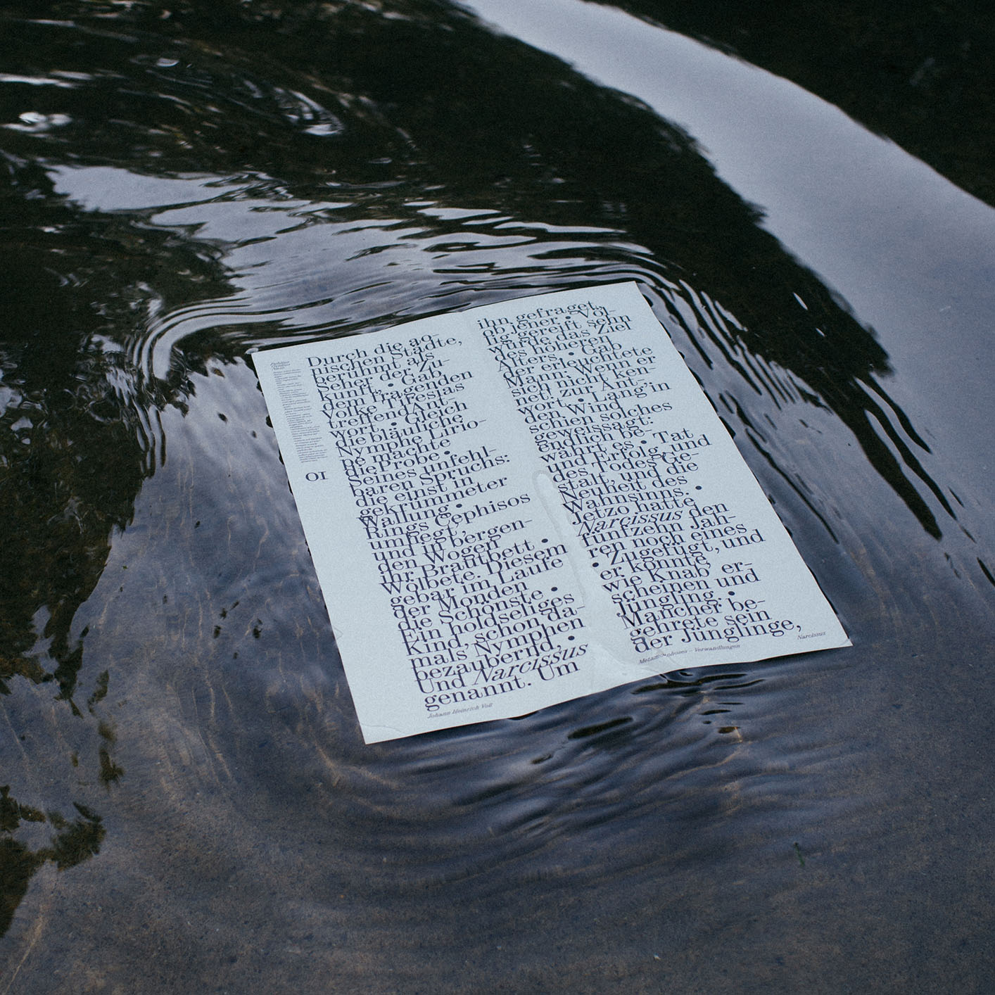 Typographic Installation: Ovid’s Narcissus