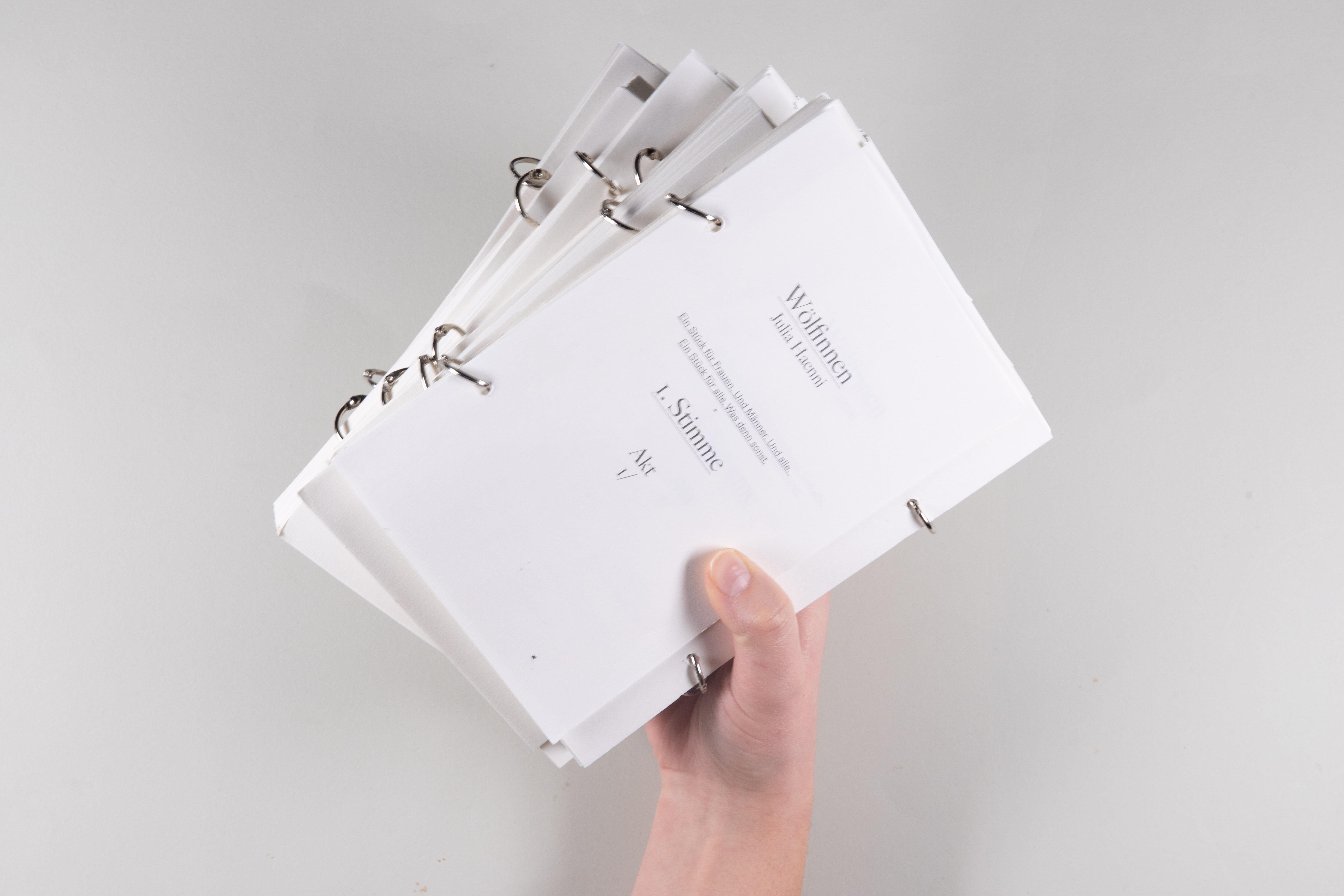 Publication: Wölfinnen