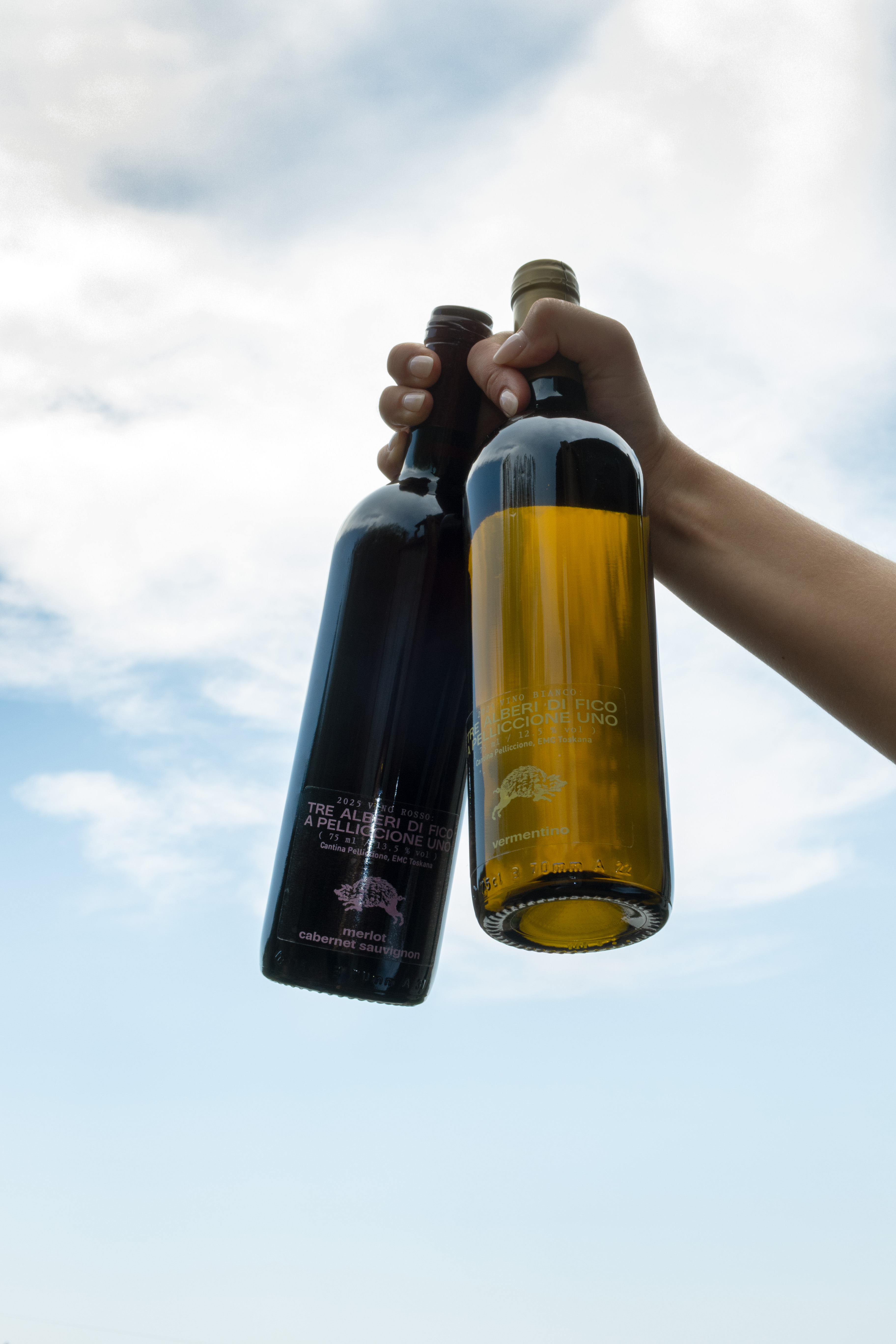 Winery: Tre Alberi di Fico a Pelliccione Uno