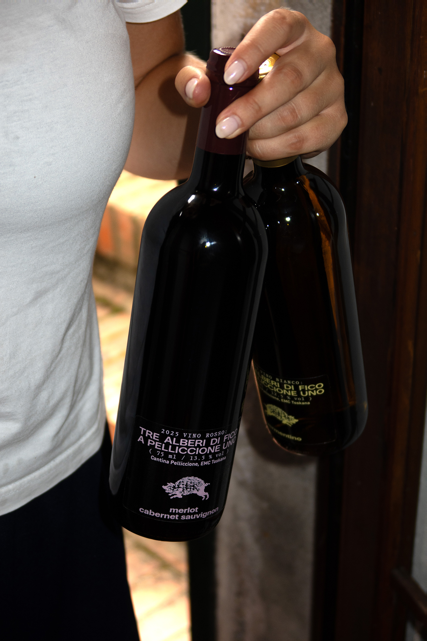 Winery: Tre Alberi di Fico a Pelliccione Uno