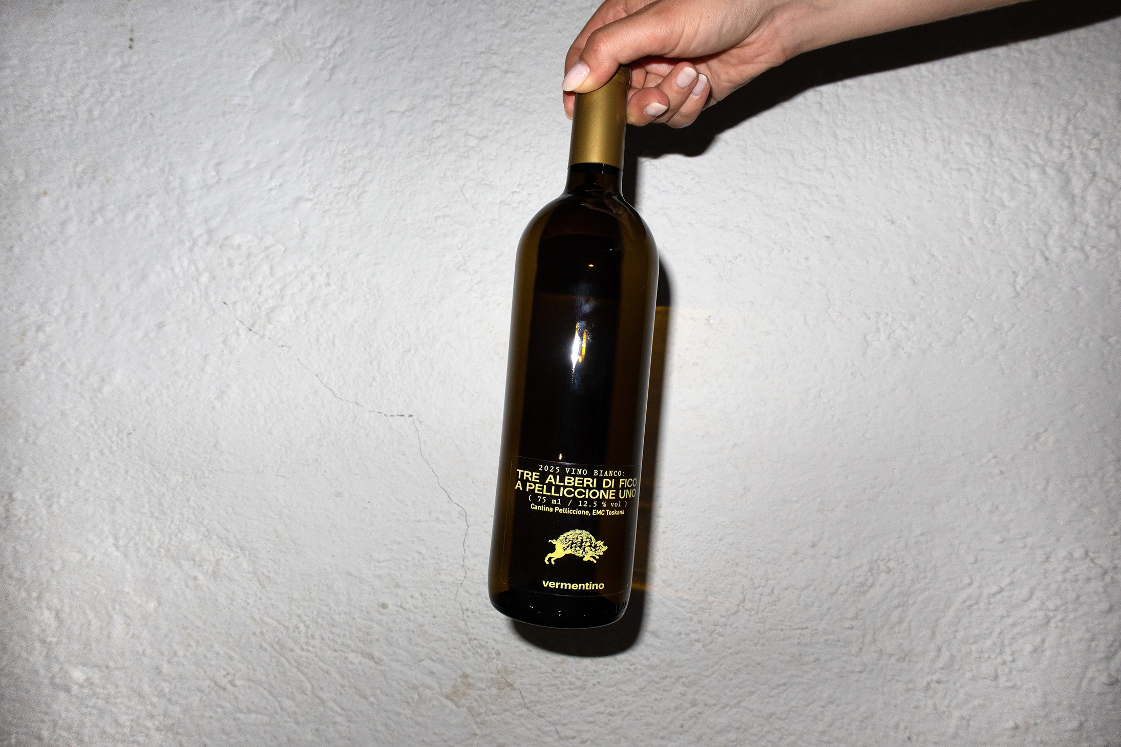 Winery: Tre Alberi di Fico a Pelliccione Uno