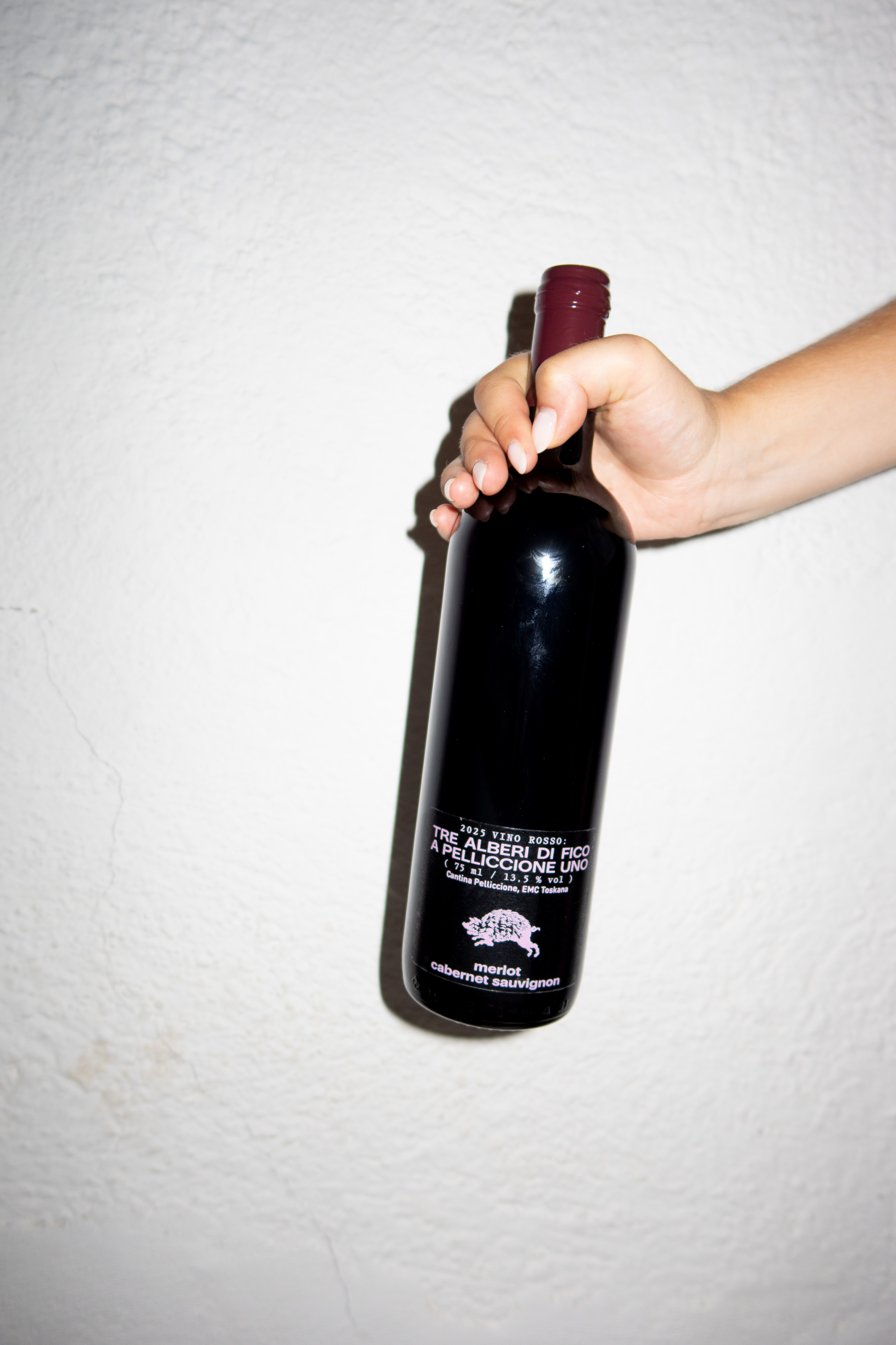 Winery: Tre Alberi di Fico a Pelliccione Uno