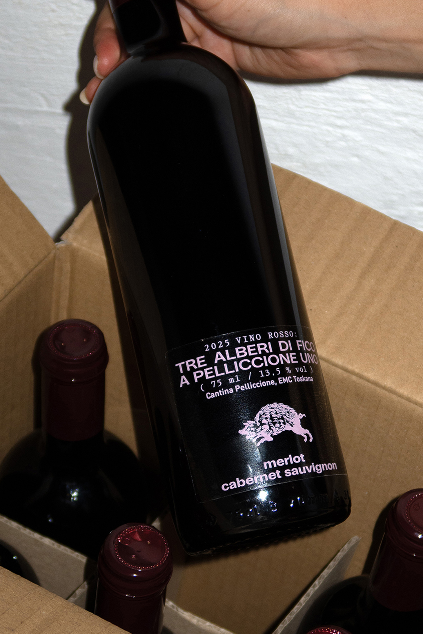 Winery: Tre Alberi di Fico a Pelliccione Uno